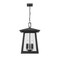 Z-Lite Rainer 5 Light Outdoor Chain Mount Ceiling Fixture, 15.5in. W x 24in. H, Black 5015CHXL-BK - alternate 8